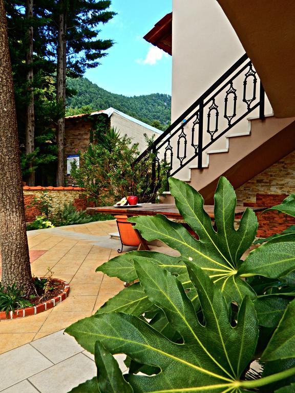 Panorama Apartments And Studios Chrysi Ammoudia Ngoại thất bức ảnh